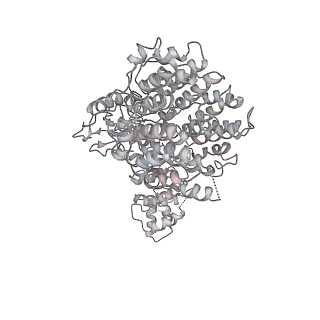 9512_5gjr_Z_v1-2
An atomic structure of the human 26S proteasome