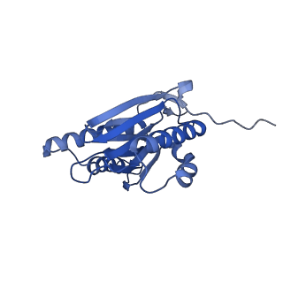 9512_5gjr_a_v1-2
An atomic structure of the human 26S proteasome