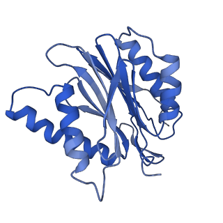 9512_5gjr_c_v1-2
An atomic structure of the human 26S proteasome