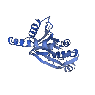 9512_5gjr_e_v1-2
An atomic structure of the human 26S proteasome