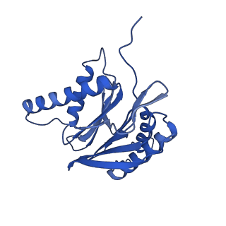 9512_5gjr_f_v1-2
An atomic structure of the human 26S proteasome