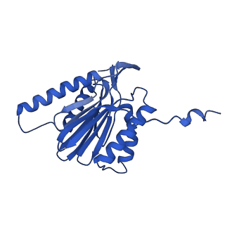 9512_5gjr_g_v1-2
An atomic structure of the human 26S proteasome