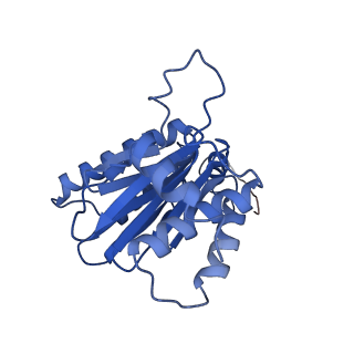 9512_5gjr_h_v1-2
An atomic structure of the human 26S proteasome