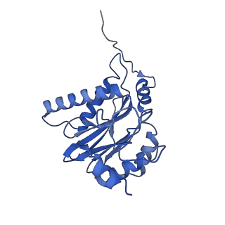 9512_5gjr_i_v1-2
An atomic structure of the human 26S proteasome