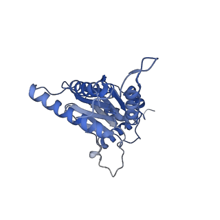 9512_5gjr_k_v1-2
An atomic structure of the human 26S proteasome