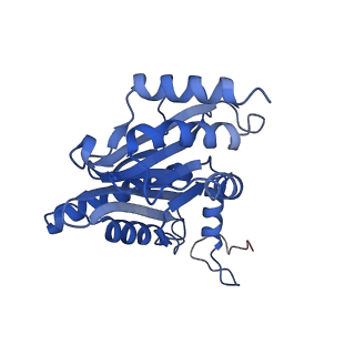 9512_5gjr_n_v1-2
An atomic structure of the human 26S proteasome