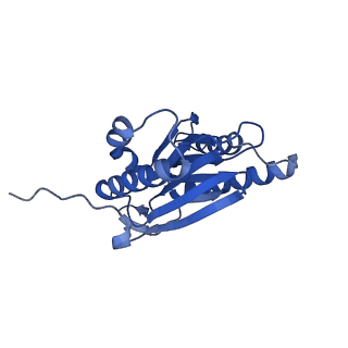 9512_5gjr_o_v1-2
An atomic structure of the human 26S proteasome
