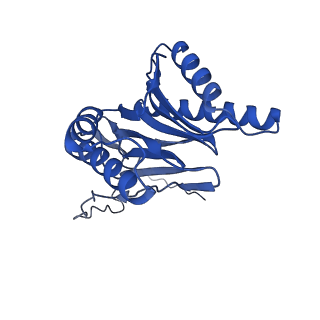 9512_5gjr_p_v1-2
An atomic structure of the human 26S proteasome