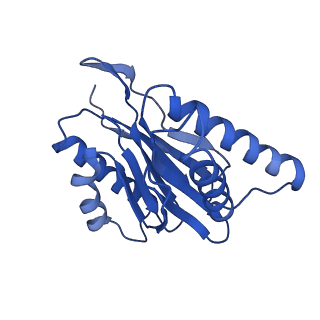 9512_5gjr_r_v1-2
An atomic structure of the human 26S proteasome
