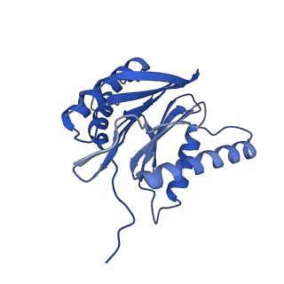 9512_5gjr_t_v1-2
An atomic structure of the human 26S proteasome