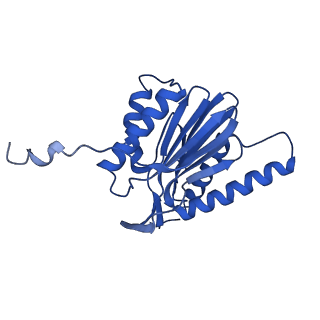 9512_5gjr_u_v1-2
An atomic structure of the human 26S proteasome