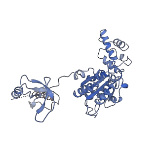 9512_5gjr_w_v1-2
An atomic structure of the human 26S proteasome