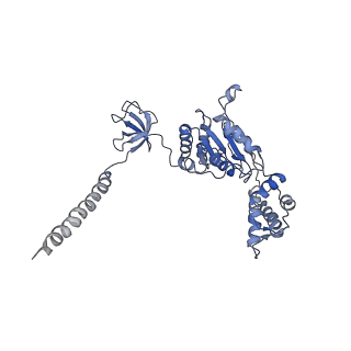9512_5gjr_z_v1-2
An atomic structure of the human 26S proteasome