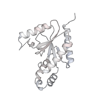 9513_5gjv_C_v1-3
Structure of the mammalian voltage-gated calcium channel Cav1.1 complex at near atomic resolution
