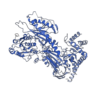 9513_5gjv_F_v1-3
Structure of the mammalian voltage-gated calcium channel Cav1.1 complex at near atomic resolution