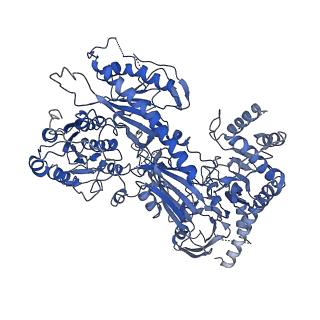 9513_5gjv_F_v2-0
Structure of the mammalian voltage-gated calcium channel Cav1.1 complex at near atomic resolution