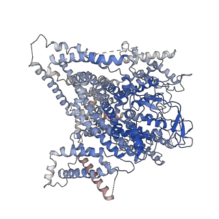9515_5gjw_A_v1-4
Structure of the mammalian voltage-gated calcium channel Cav1.1 complex for ClassII map