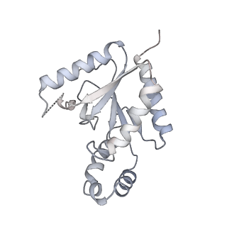 9515_5gjw_C_v1-4
Structure of the mammalian voltage-gated calcium channel Cav1.1 complex for ClassII map