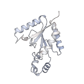 9515_5gjw_C_v2-0
Structure of the mammalian voltage-gated calcium channel Cav1.1 complex for ClassII map