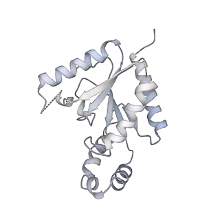 9515_5gjw_C_v3-0
Structure of the mammalian voltage-gated calcium channel Cav1.1 complex for ClassII map