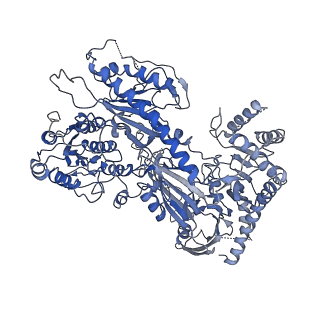 9515_5gjw_F_v1-4
Structure of the mammalian voltage-gated calcium channel Cav1.1 complex for ClassII map