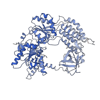 0023_6gkh_A_v1-3
CryoEM structure of the MDA5-dsRNA filament in complex with ADP-AlF4