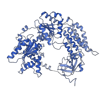 0024_6gkm_A_v1-3
CryoEM structure of the MDA5-dsRNA filament in complex with ATP (10 mM)