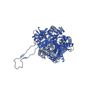40177_8gk0_A_v1-1
Multi-drug efflux pump RE-CmeB bound with Erythromycin
