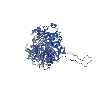 40177_8gk0_B_v1-1
Multi-drug efflux pump RE-CmeB bound with Erythromycin