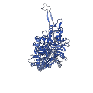 40177_8gk0_C_v1-1
Multi-drug efflux pump RE-CmeB bound with Erythromycin