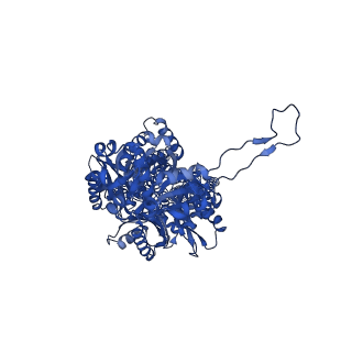 40179_8gk4_A_v1-1
Multi-drug efflux pump RE-CmeB bound with Chloramphenicol