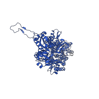 40179_8gk4_B_v1-1
Multi-drug efflux pump RE-CmeB bound with Chloramphenicol