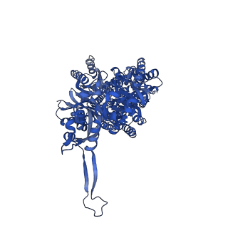 40179_8gk4_C_v1-1
Multi-drug efflux pump RE-CmeB bound with Chloramphenicol