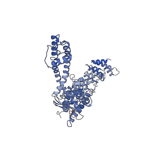 40181_8gka_A_v1-2
Human TRPV3 tetramer structure, closed conformation