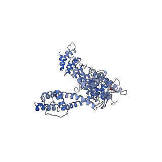 40181_8gka_B_v1-2
Human TRPV3 tetramer structure, closed conformation