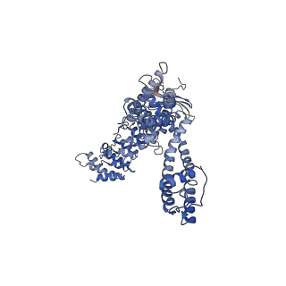 40181_8gka_C_v1-2
Human TRPV3 tetramer structure, closed conformation