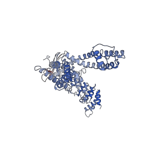 40181_8gka_D_v1-2
Human TRPV3 tetramer structure, closed conformation