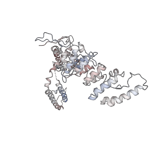 40183_8gkg_D_v1-2
Human TRPV3 pentamer structure