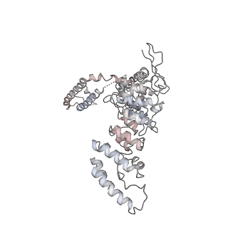 40183_8gkg_E_v1-2
Human TRPV3 pentamer structure