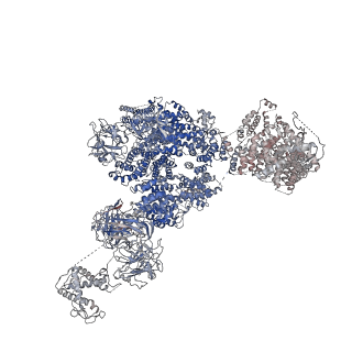 9518_5gky_A_v1-4
Structure of RyR1 in a closed state (C1 conformer)