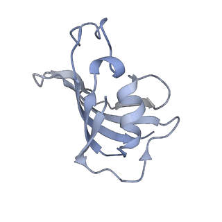 9518_5gky_B_v1-4
Structure of RyR1 in a closed state (C1 conformer)