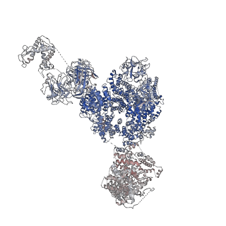 9518_5gky_C_v1-4
Structure of RyR1 in a closed state (C1 conformer)