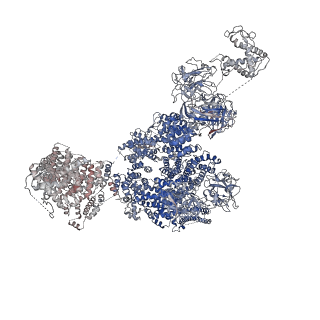 9518_5gky_E_v1-4
Structure of RyR1 in a closed state (C1 conformer)