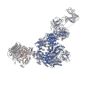 9518_5gky_E_v1-5
Structure of RyR1 in a closed state (C1 conformer)