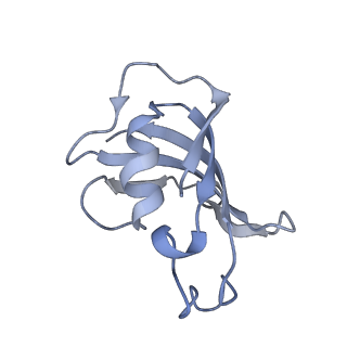 9518_5gky_F_v1-4
Structure of RyR1 in a closed state (C1 conformer)