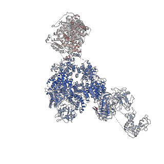 9518_5gky_G_v1-4
Structure of RyR1 in a closed state (C1 conformer)