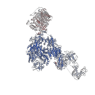 9518_5gky_G_v1-5
Structure of RyR1 in a closed state (C1 conformer)