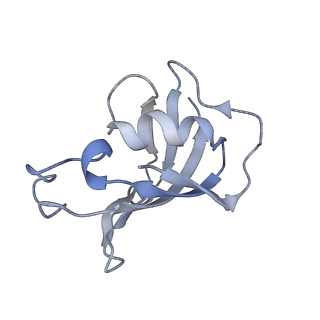 9518_5gky_H_v1-4
Structure of RyR1 in a closed state (C1 conformer)