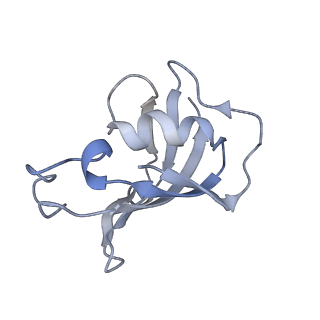 9518_5gky_H_v1-5
Structure of RyR1 in a closed state (C1 conformer)