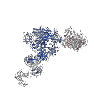 9519_5gkz_A_v1-4
Structure of RyR1 in a closed state (C3 conformer)